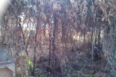 Paintball Cemjata v roku 2013